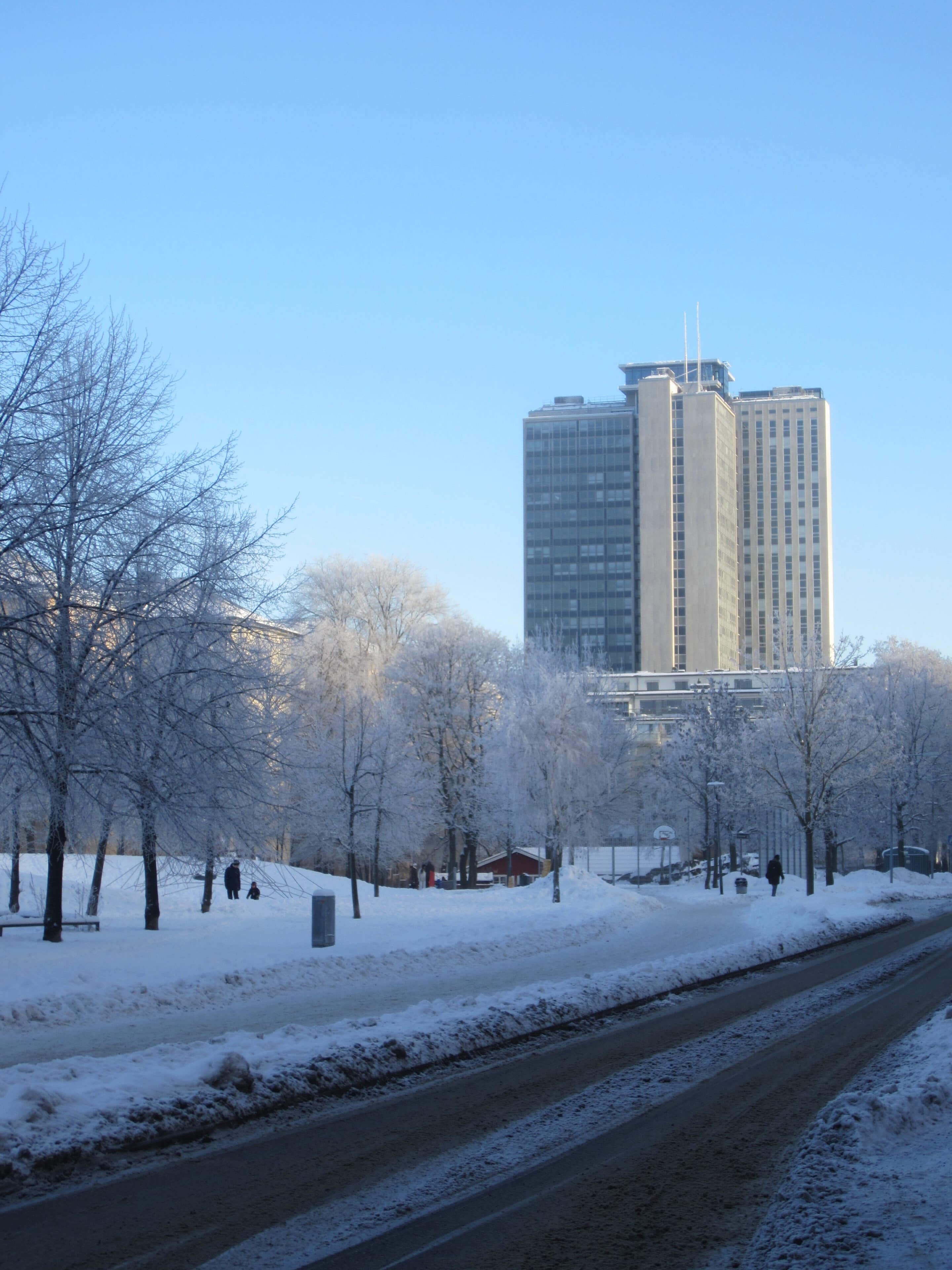 Rosenlundsparken – En skön oas på Söder