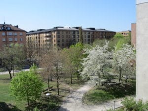 Rosenlundsparken (Foto Maria Lindberg Howard) 