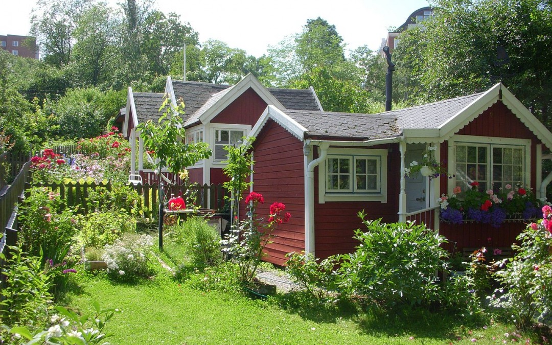 Karlbergs-Bro – Kungsholmens enda koloniträdgård