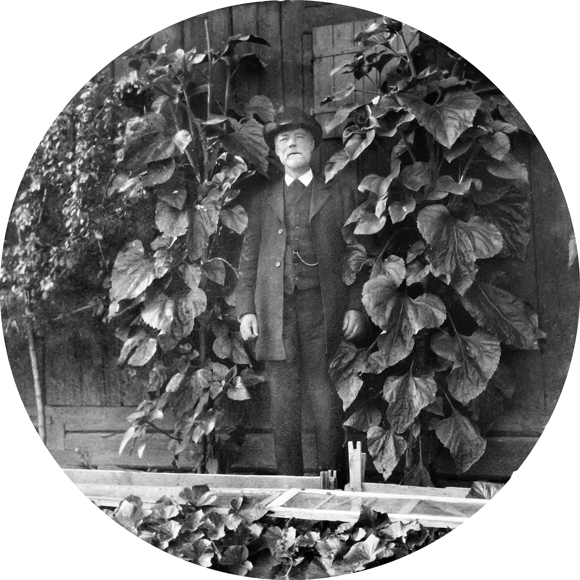 Carl Gustaf Holmquist